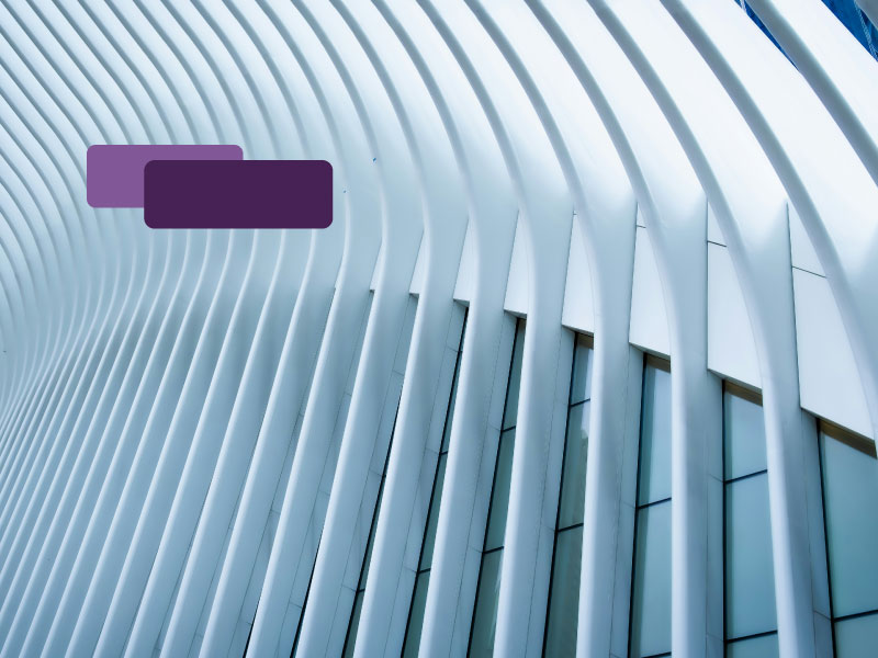 Emirates Islamic CIO Corner Weekly Insights- 10 November 2025