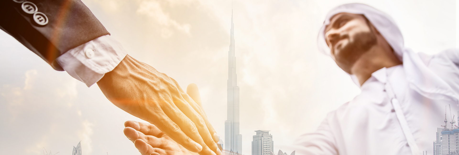 أعضاء مجلس الادارة