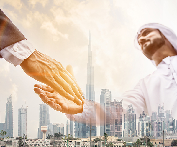 أعضاء مجلس الادارة