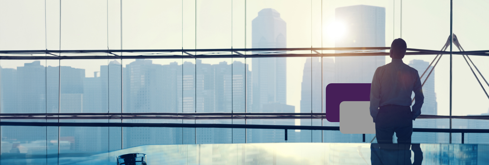 خدمات الأعمال المصرفية البلاتينية