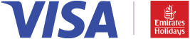 visa logo