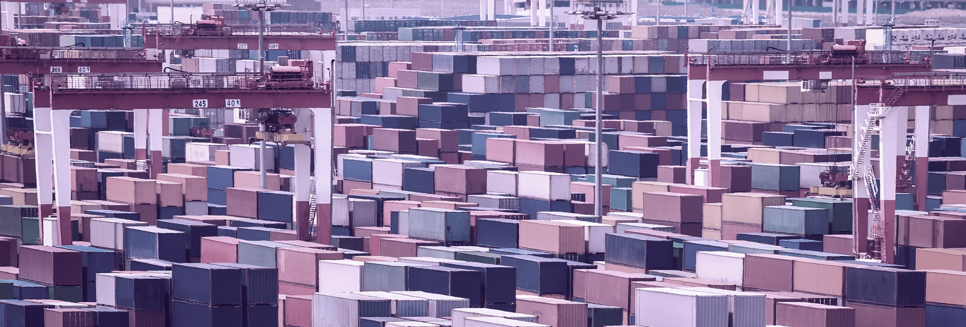 سلسلة حلول التجارة والتوريد