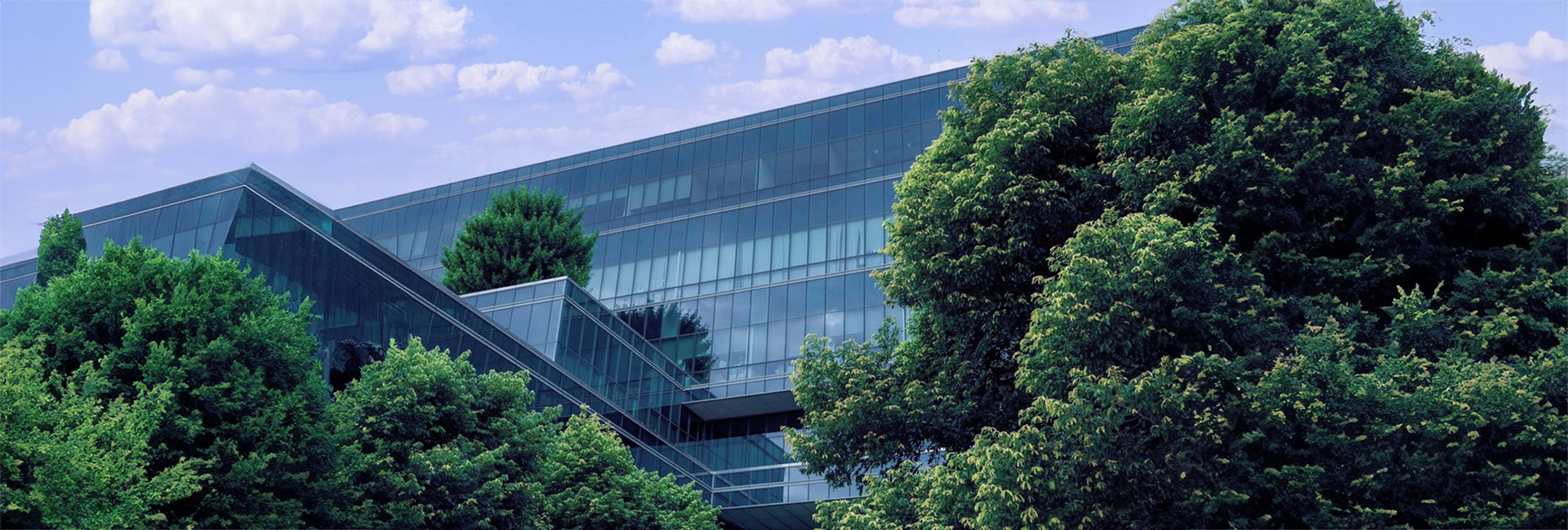 LargeCorporate