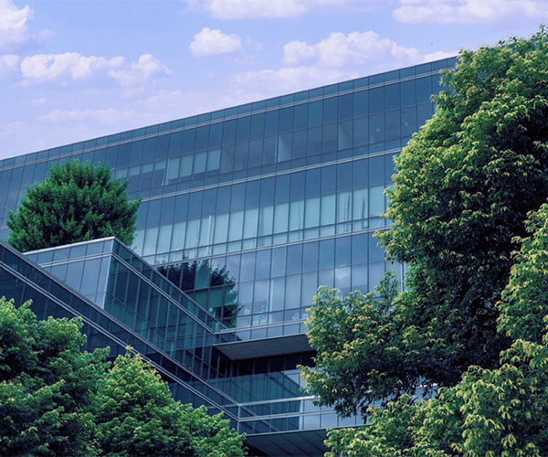 Large Corporate