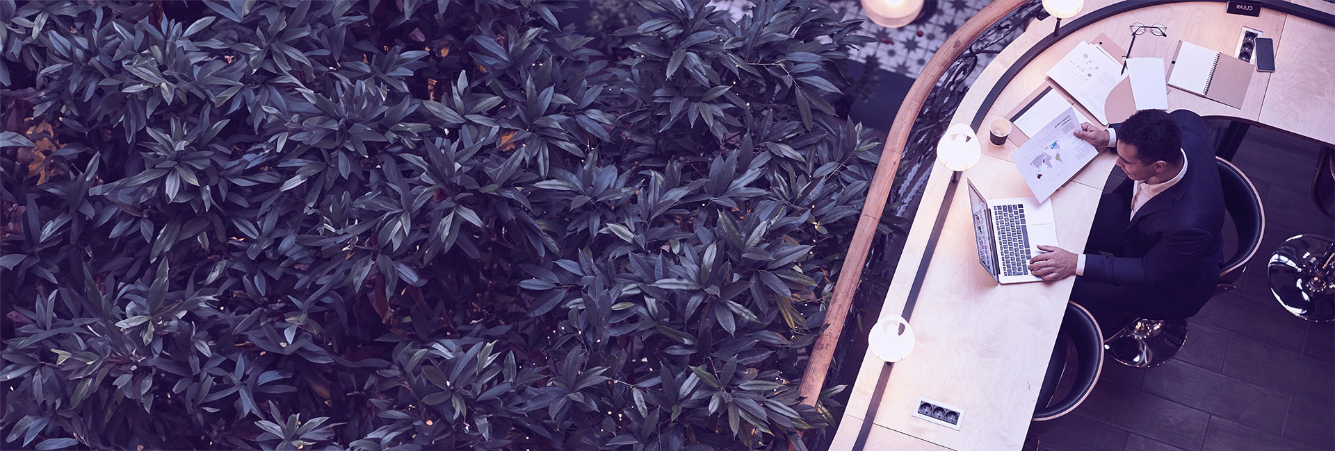 Multinational Corporations