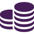Currency Icon Purple