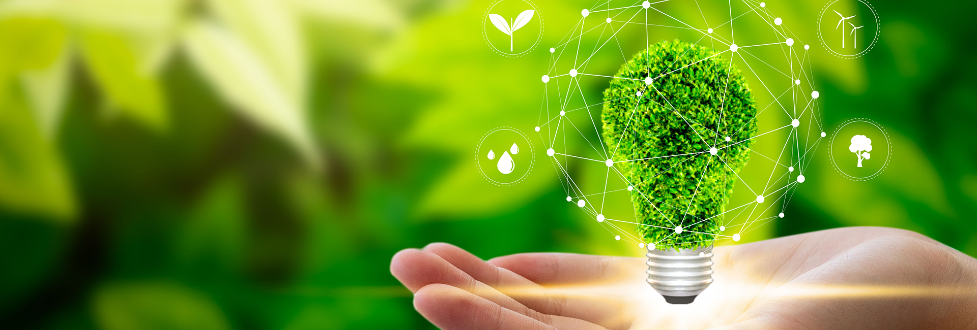 الإمارات الإسلامي - تقارير الحوكمة البيئية والاجتماعية وحوكمة الشركات