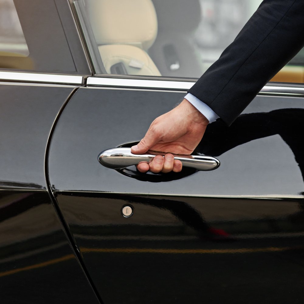 Avis Car Rental
